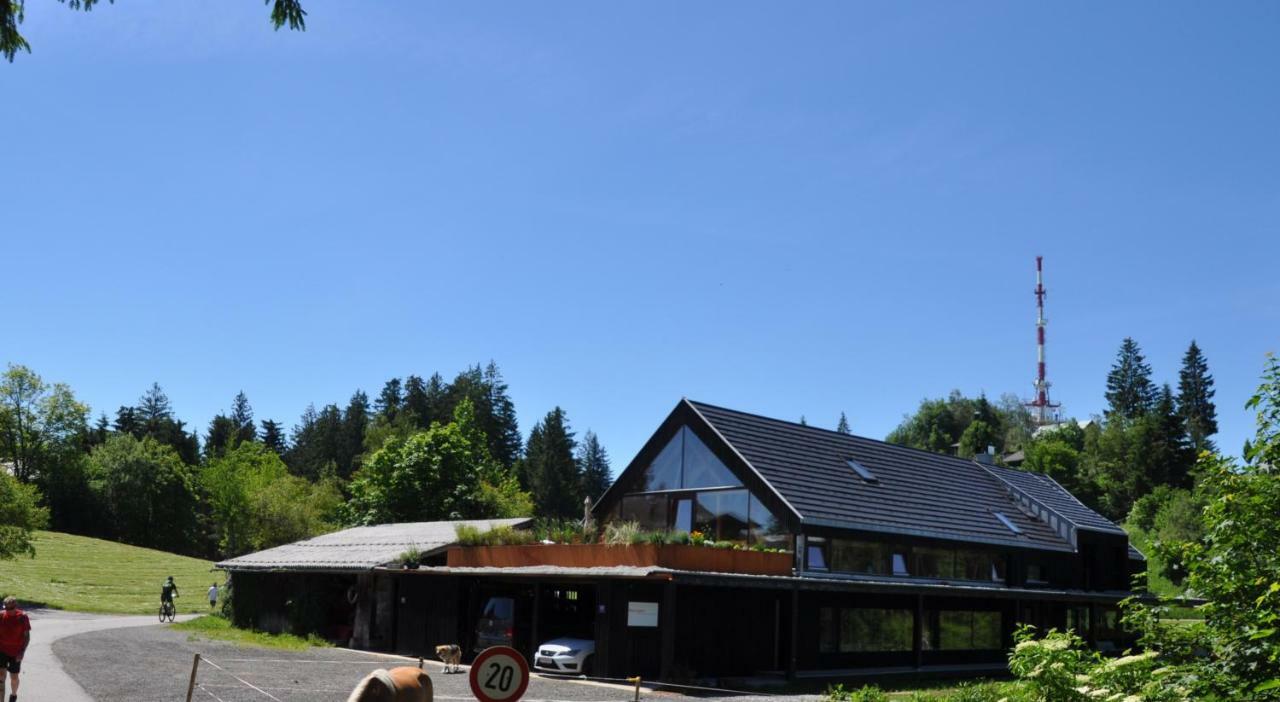 Apartment Reichart